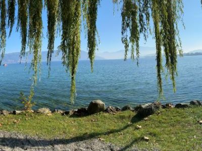 Geen nieuws is goed&nbsp;nieuws